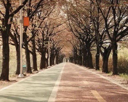 wonwooszone's tweet photo. 📸 by wonwoo https://t.co/bdt51f4yzD