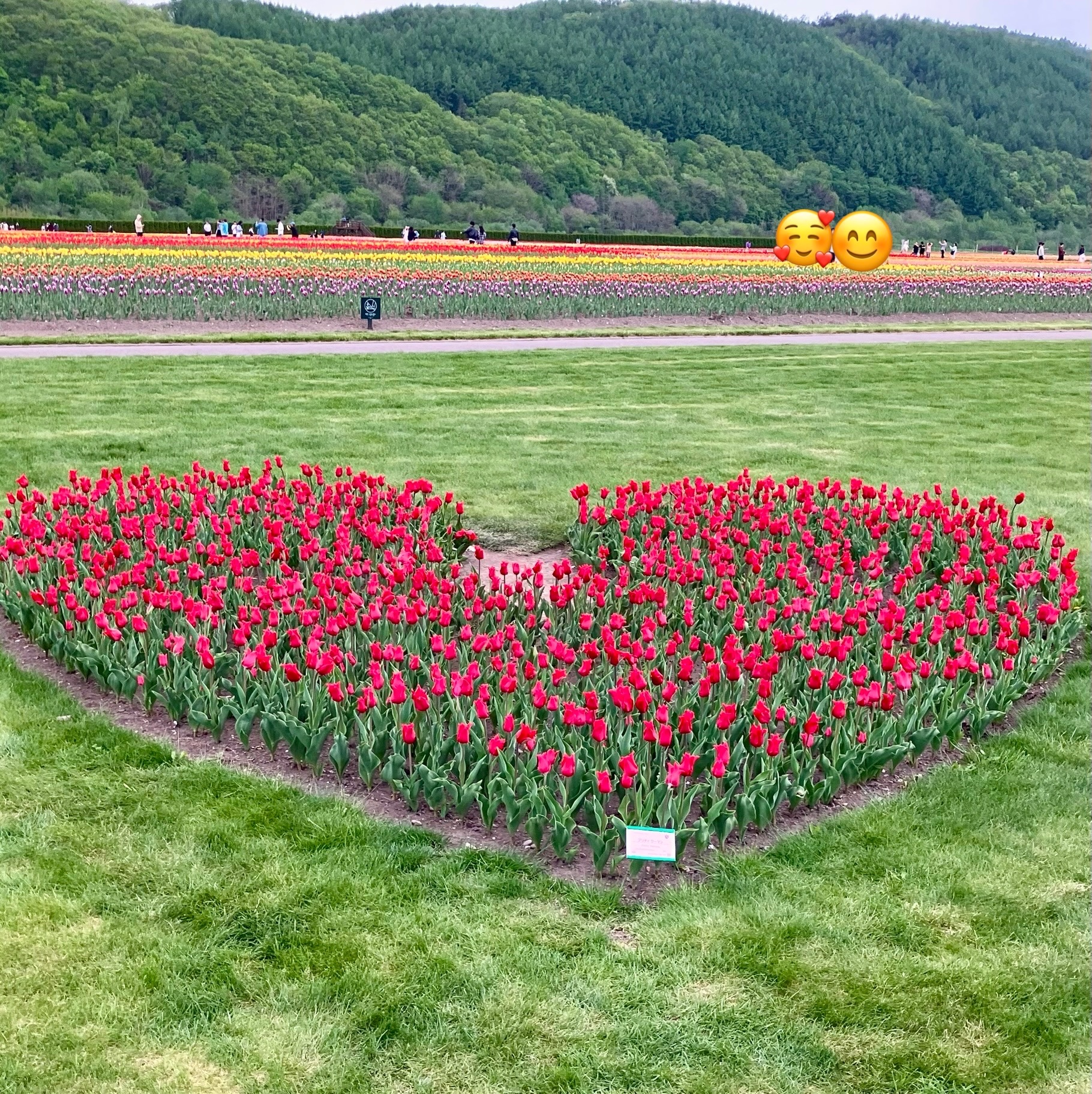 貴重本 阿部なをの小鉢盛り220選 1983年 マイライフシリーズ プレミア 阿部ちゃんとの時間は最高だった」幼馴染・竹本さん - Webikeプラス