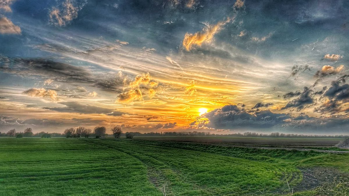 FriendsSouthend's tweet photo. Pre Sunset this changeable evening from along the Common Rd Gt Wakering 19-53 Hrs 😀

📷: Mick Tanner 

Photos originally published on Friends of Southend group, 15/04/25 https://t.co/AY5F6FVuje