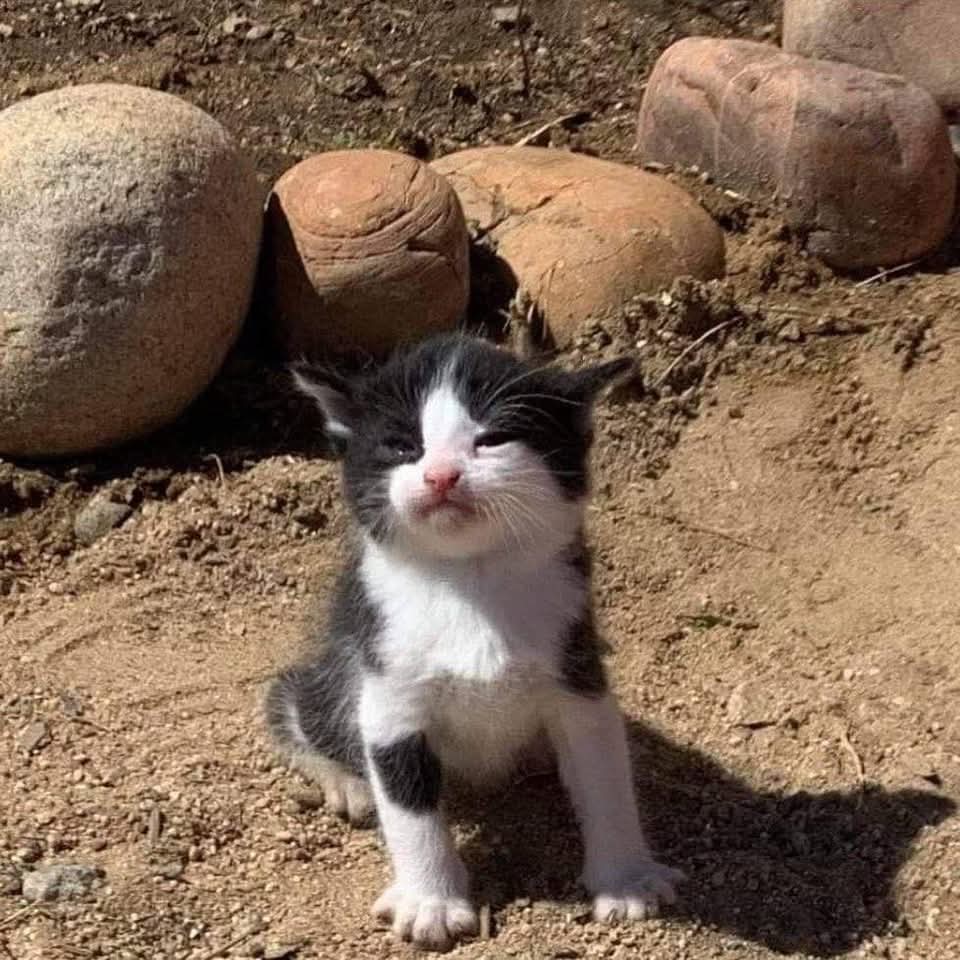 Super banger timing ang gig hiatusz nonstopz prod workz is the go hahahahha