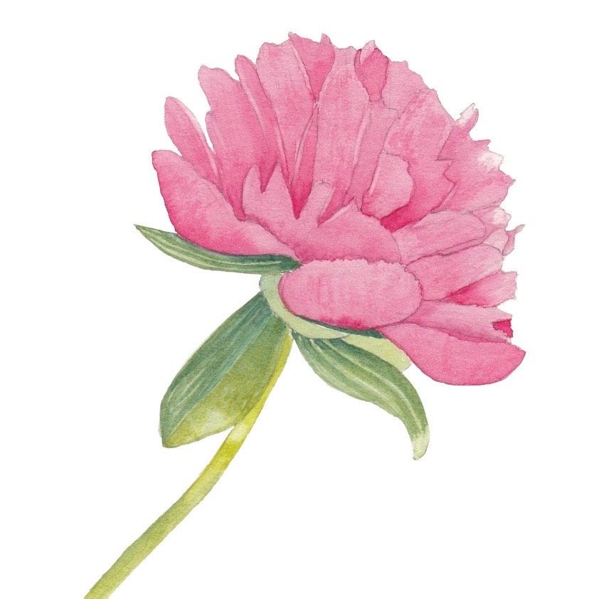 Jan Purves tweet media