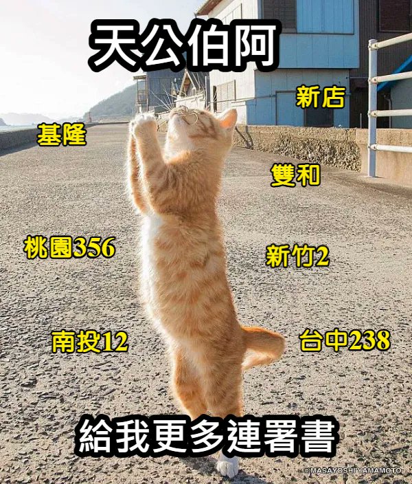🔺 新北 8 還差1300
🔺 新北 9 還差1500
🔺 新北11 還差1500
🔺 桃園 3 還差1000
🔺 桃園 5 還差2500
🔺 桃園 6 還差3000
🔺 新竹 2 還差1500
🔺 台中 2 還差5000
🔺 台中 3 還差5700
🔺 台中 8 還差4600
🔺 南投 1 還差1800
🔺 南投 2 還差2500
🆘
⚠️基隆未達送件門檻 還缺5794祈禱貓貓需要更多連叔叔