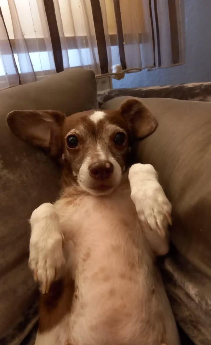 odul biskuvisini yerim endisesiyle gecirdigi 1 omur