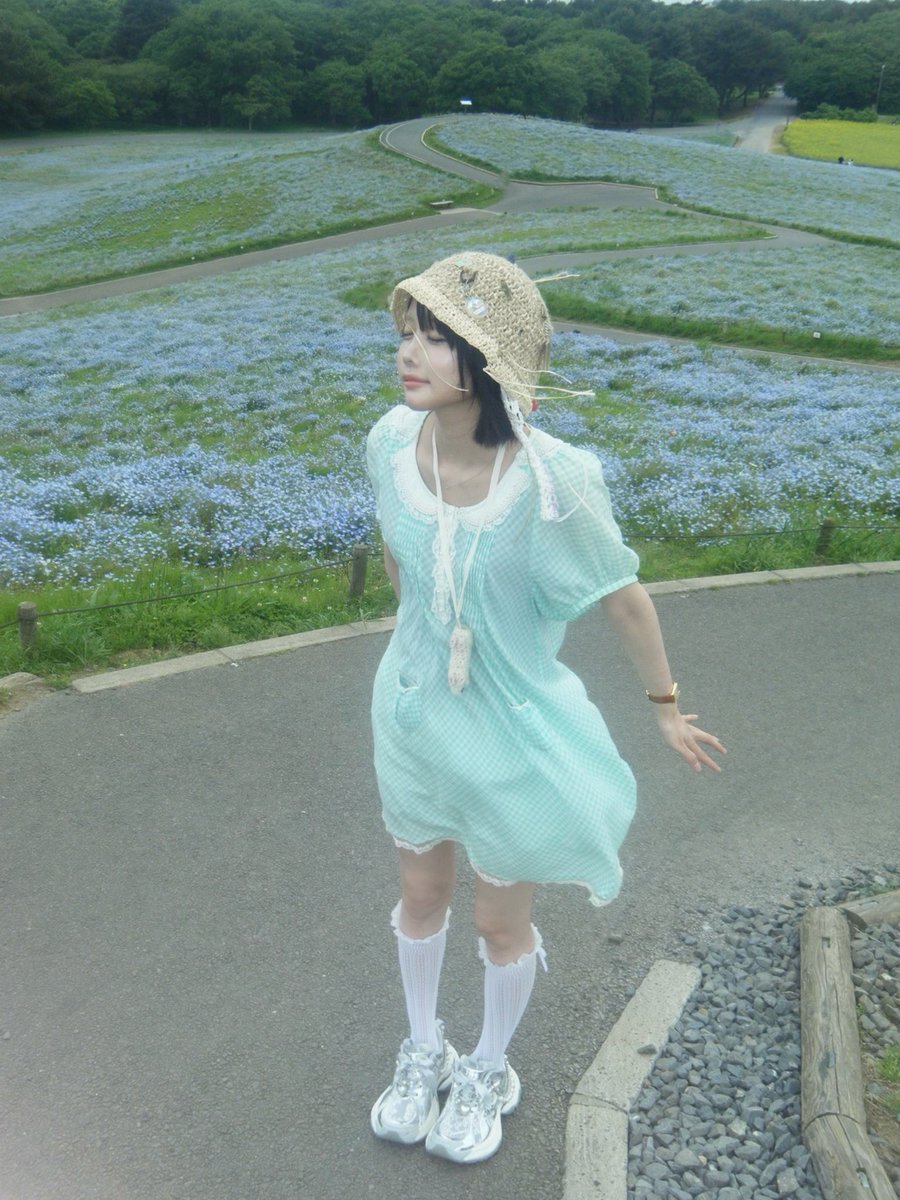 丘登るだけで疲れたけどいい散歩になっあ