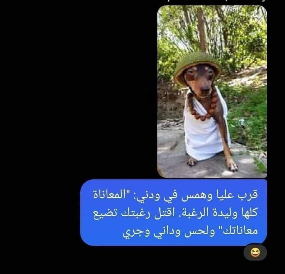 𝙰𝙷𝙼𝙴𝙳 (@aboabdalhady1) on Twitter photo 