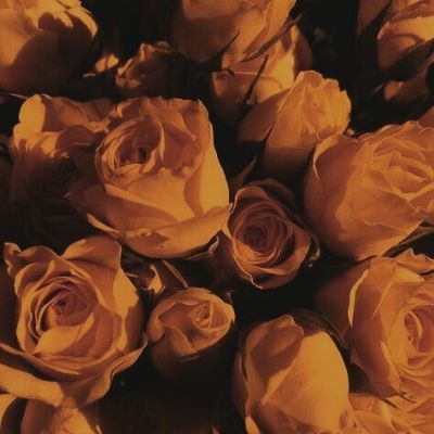 𝑄𝑢𝑒𝑒𝑛 𝑏𝑒𝑒
      𝑺𝒉𝒆/𝑯𝒆𝒓
        𝓡𝓟 𝓪𝓬𝓬/𝗠𝗗𝗡𝗜!! 
    𖤓----------------------𖤓
              #𝑯𝑯 #𝑯𝑩 #𝑅𝒫𝒜𝒞𝒞 
                       #𝓜𝓓𝓝𝓘 #𝓝𝓼𝓯𝔀
                             #𝓢𝓯𝔀  #𝑄𝑢𝑒𝑒𝑛𝐵𝑒𝑒𖧷