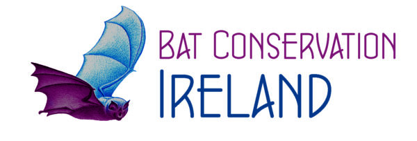 🦇 Bat Walk and Talk in Bushy Park! 🦇
📅 Date: Wed, 21st May 🕗 Time: 8:00 - 10:45 PM 📍 Meeting Point: Rear veranda of Bushy Park café

Join Bat Conservation Ireland for a fascinating evening walk to explore the bats of Bushy Park. Suitable for all ages, this event offers a