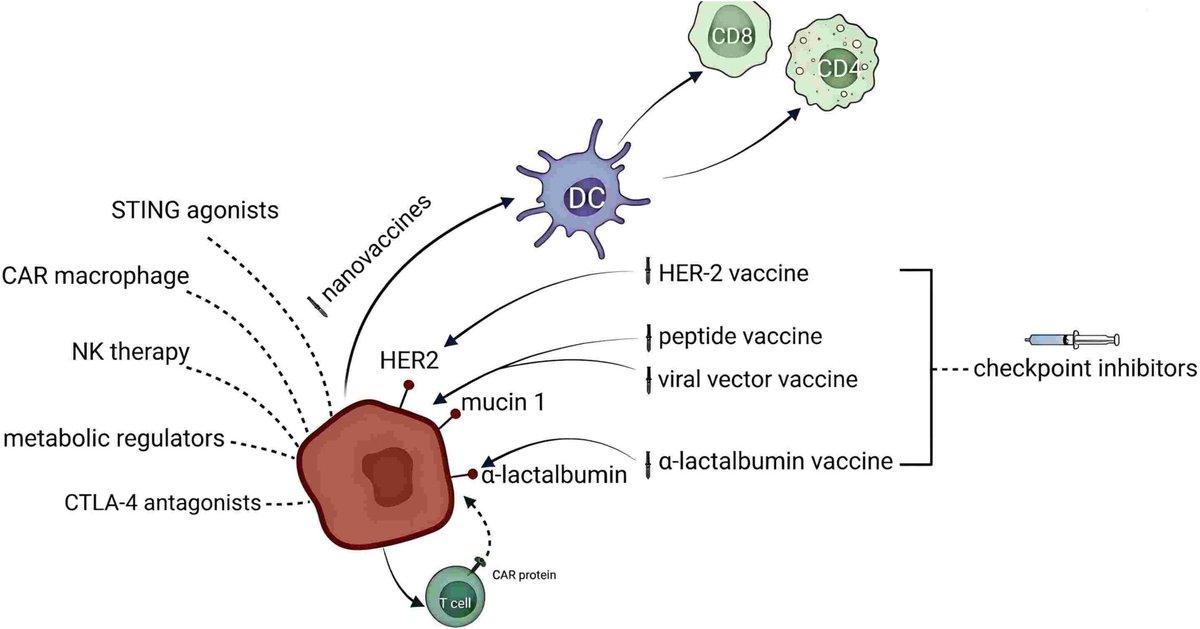 Cancer Reports (@wiley_cancerrep) on Twitter photo Li et al. reviewed current understanding of roles of immune cells within breast cancer microenvironment—phenotypes, functions & implications for immunotherapy.
doi.org/10.1002/cnr2.7…
#CancerReports #Wiley #BreastCancer #Immunotherapy #TME #TAMs
<a href="/WileyOnc_Hem/">Wiley Oncology & Hematology</a> <a href="/WileyBiomedical/">Wiley Biomedical Science</a> Li et al. reviewed current understanding of roles of immune cells within breast cancer microenvironment—phenotypes, functions & implications for immunotherapy.
doi.org/10.1002/cnr2.7…
#CancerReports #Wiley #BreastCancer #Immunotherapy #TME #TAMs
<a href="/WileyOnc_Hem/">Wiley Oncology & Hematology</a> <a href="/WileyBiomedical/">Wiley Biomedical Science</a>