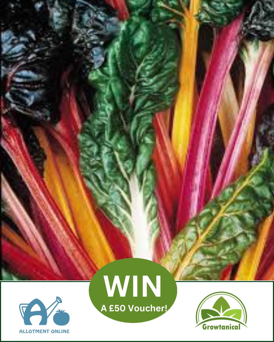 Enter for the chance to WIN a £50 Voucher to spend with Growtanical
Please follow, ❤️, tag, RT and enter on the link:

allotmentonline.co.uk/win-a-gift-vou…

#win #competition #growyourown