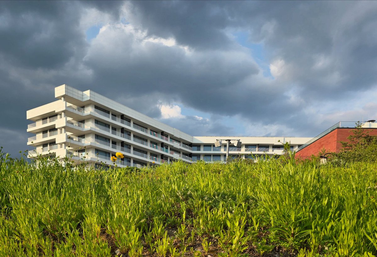 #설해원 #설해온천 #양진석건축 #와이그룹 #김용관건축사진가