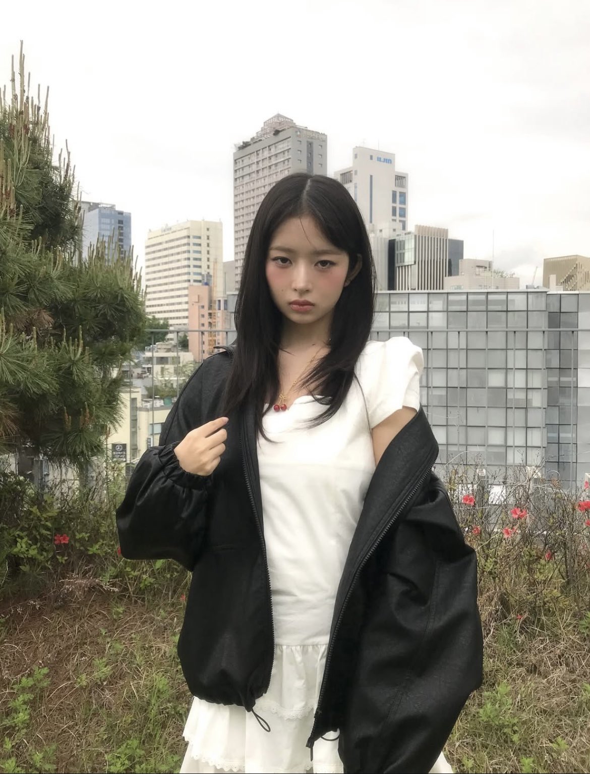 なおりゆうた🐥🍍🍓🌵🦋🦭🦛 on X: 