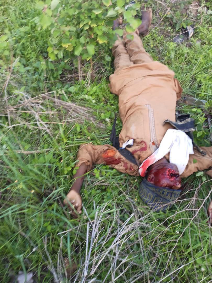 boosca_p's tweet photo. @AgAnchawadje Voici tes parents abattus comme des chiens qui ont la rage. On ne vous demande plus de déposer les armes on vous abat maintenant. https://t.co/7zDfsnvqDW