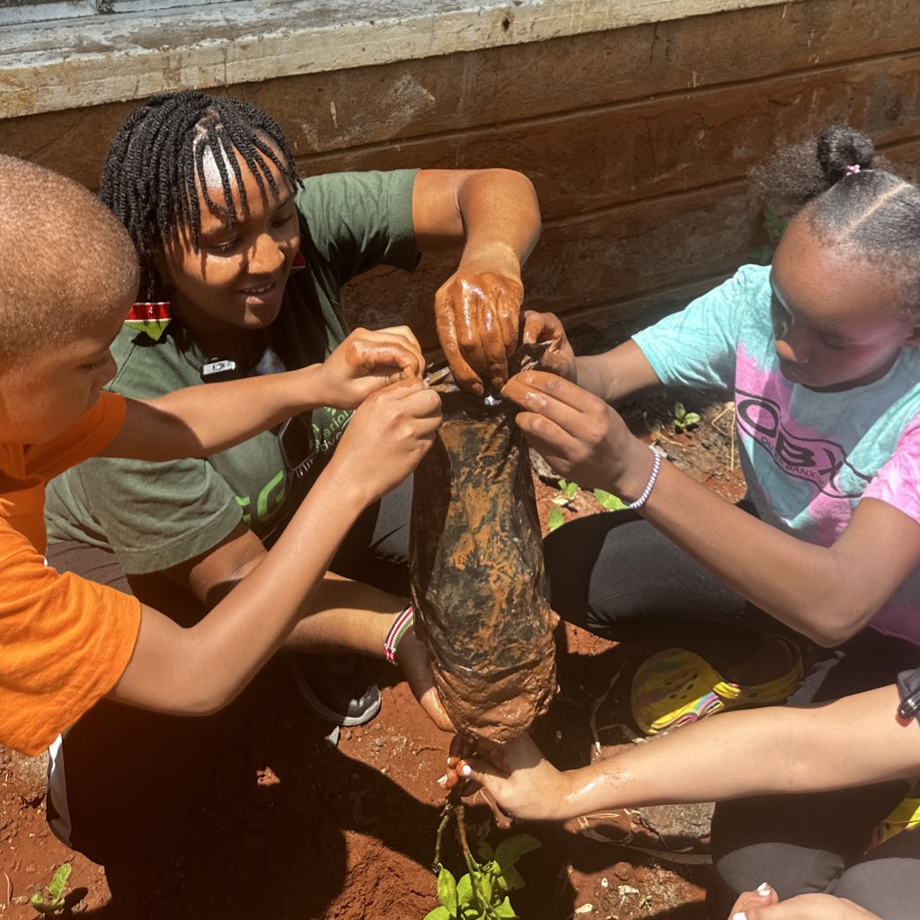 Fun fact: Planting just one tree can absorb up to 21 kilograms of carbon dioxide per year. That’s like offsetting the emissions from driving a car for over 80 kilometers. #greengenerationinitiative