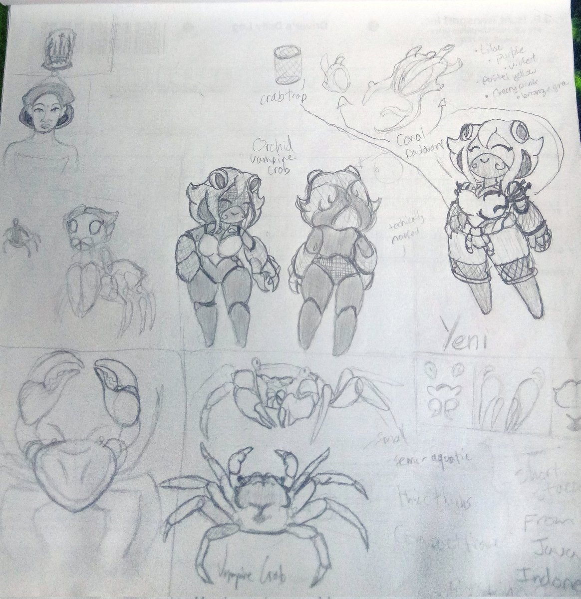 Spider269's tweet image. New character : Yeni
(Purple Orchid Vampire Crab- Island scavenger)
Added to my list of OCs
#doodle #characterdesign #shortstack