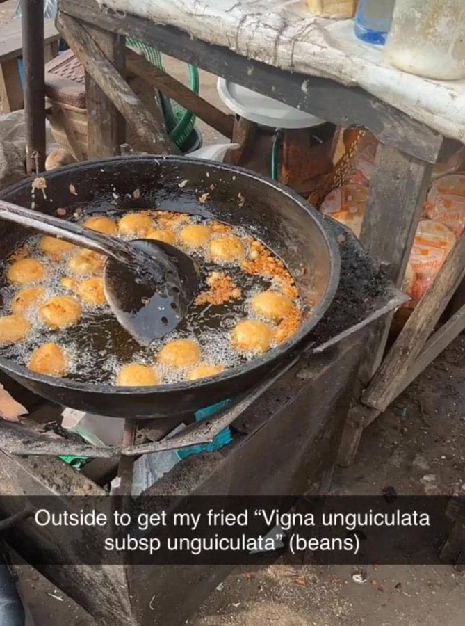 Fave gal tweet media