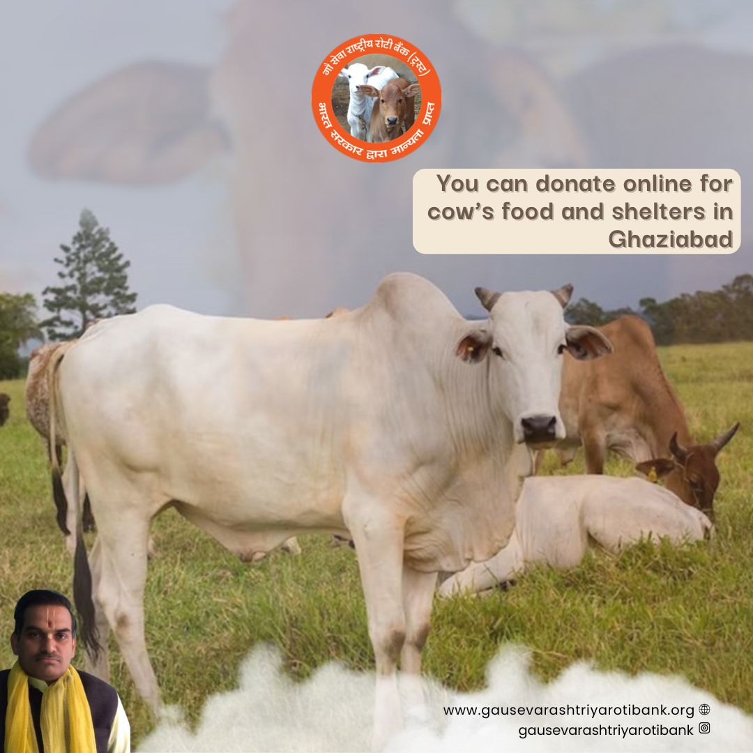 PankajShar5092's tweet photo. Support Cows in Ghaziabad: Donate Online for Food and Shelter

#gauseva #gaumata #gaushala #gauraksha #savecows https://t.co/SSA4reUHyy