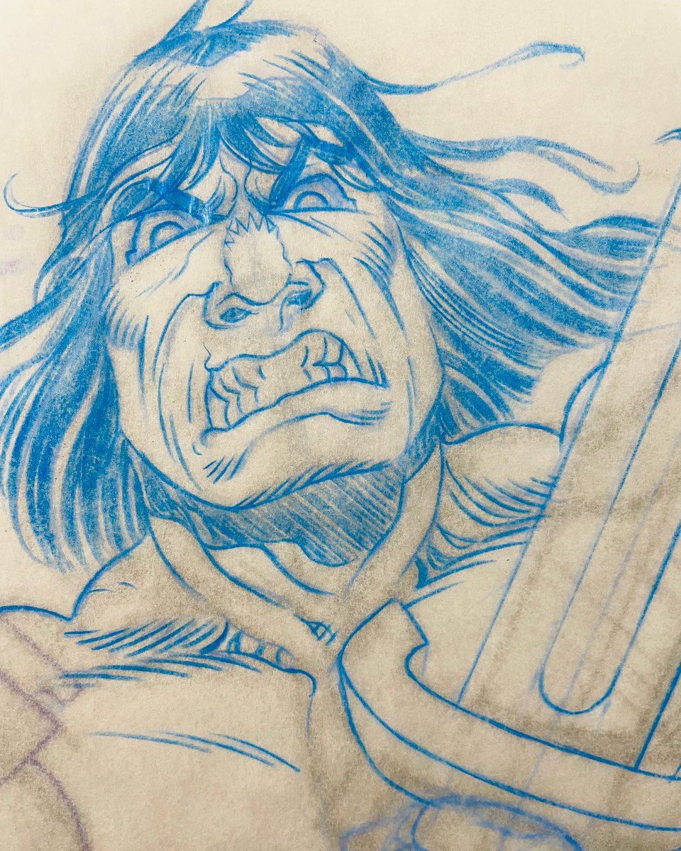 birdsinboxes's tweet image. Finding Conan… wip.