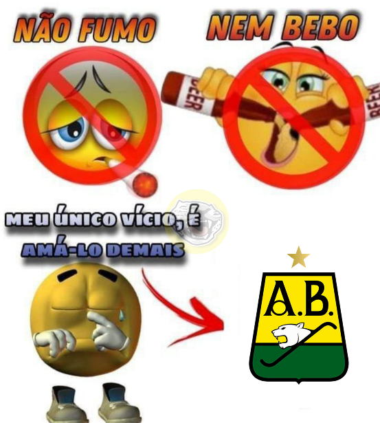 BUCARABRASIL tweet media