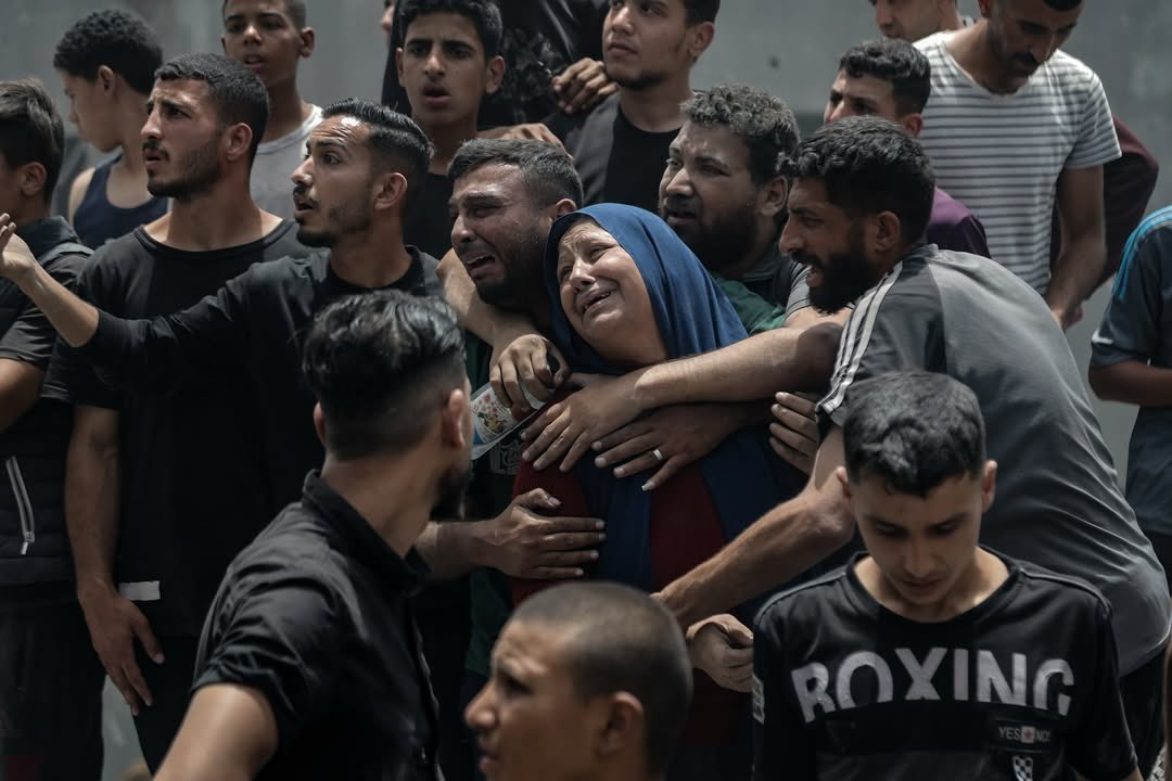 TIMES OF GAZA tweet media