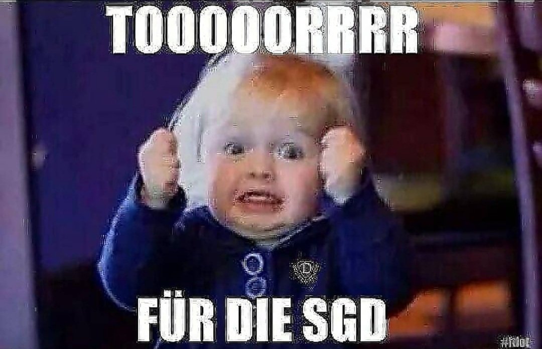 FreitalonTour's tweet photo. Das 2:0..Lemmi..65.min #sgd1953 #haching https://t.co/PhfgBnnJoO