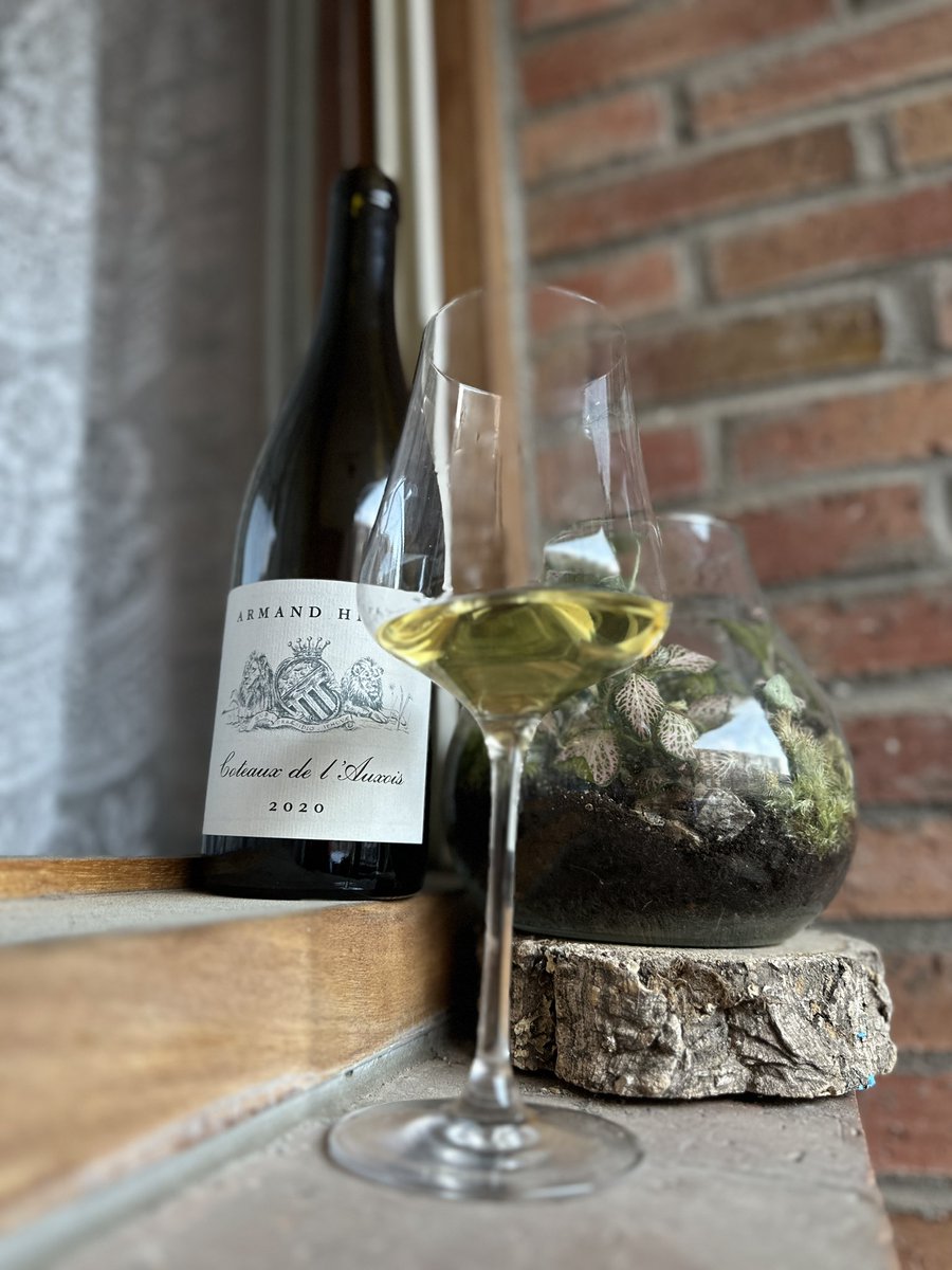 I recently discovered Armand Heitz and his wines. The first two I tasted were the Bourgogne Blanc and Bourgogne Rouge that were really good.

Now it was time for this Coteaux de L’Auxois 2020. Outstanding wine.

We still have some more of Armand’s wines to discover.

Salut!!