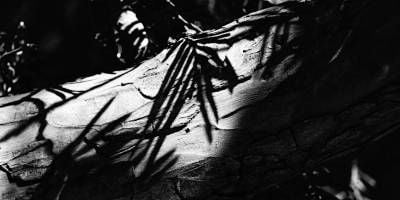 What even is the history of philosophy? 

📅29 May 2025, 6:00 pm–7:30 pm 

Join us for Professor Tom Stern's Inaugural Professorial Lecture "What even is the history of philosophy?", followed by a drinks reception. 

buff.ly/ZSGEMNa 
@uclphilosophy