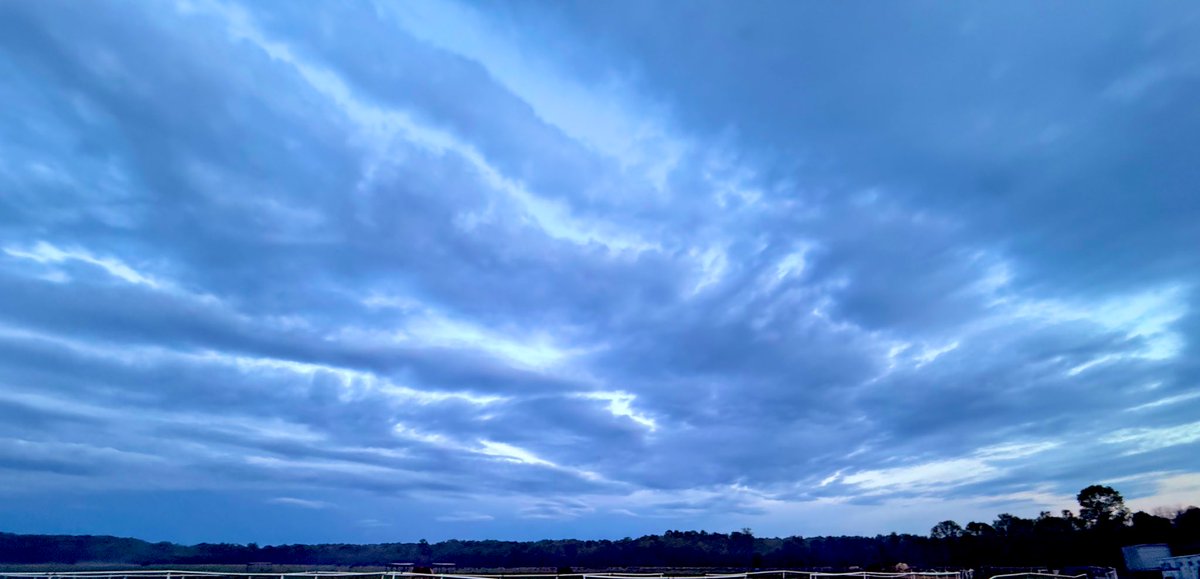 DeHughy's tweet image. Do not put your trust in princes,
    in human beings, who cannot save.
4 
When their spirit departs, they return to the ground;
    on that very day their plans come to nothing.
5 
Blessed are those whose help is the God of Jacob,
    whose hope is in the Lord their God.
6…