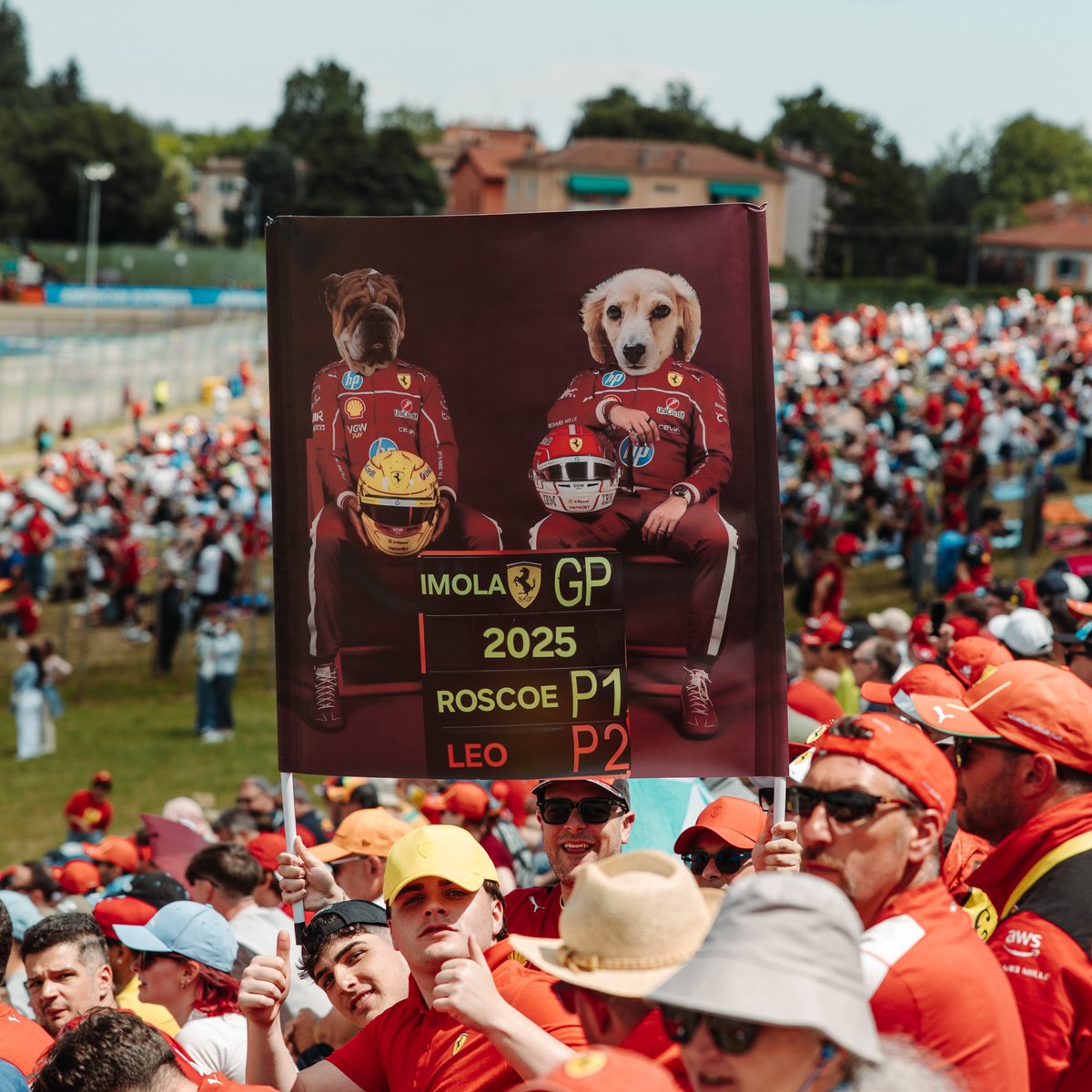 F1's tweet photo. Tifosi land ❤️

#F1 #ImolaGP https://t.co/G9N2U1oshC