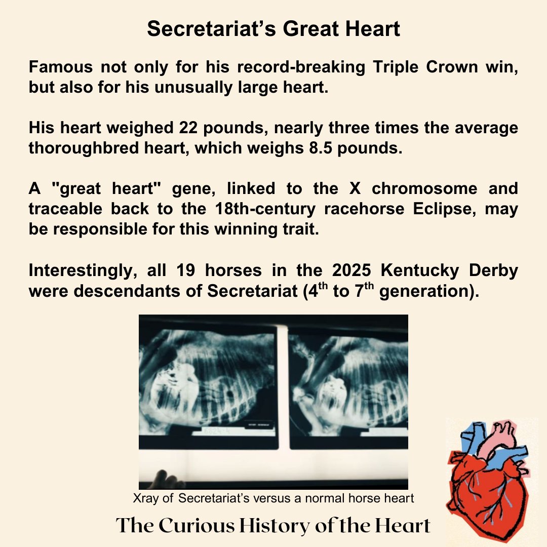 curioushearthx's tweet photo. Another curious heart fact. ❤️     Check out more facts in my book The Curious History of the Heart!  https://t.co/vIsfzDGNcS https://t.co/xUCn7db6SX