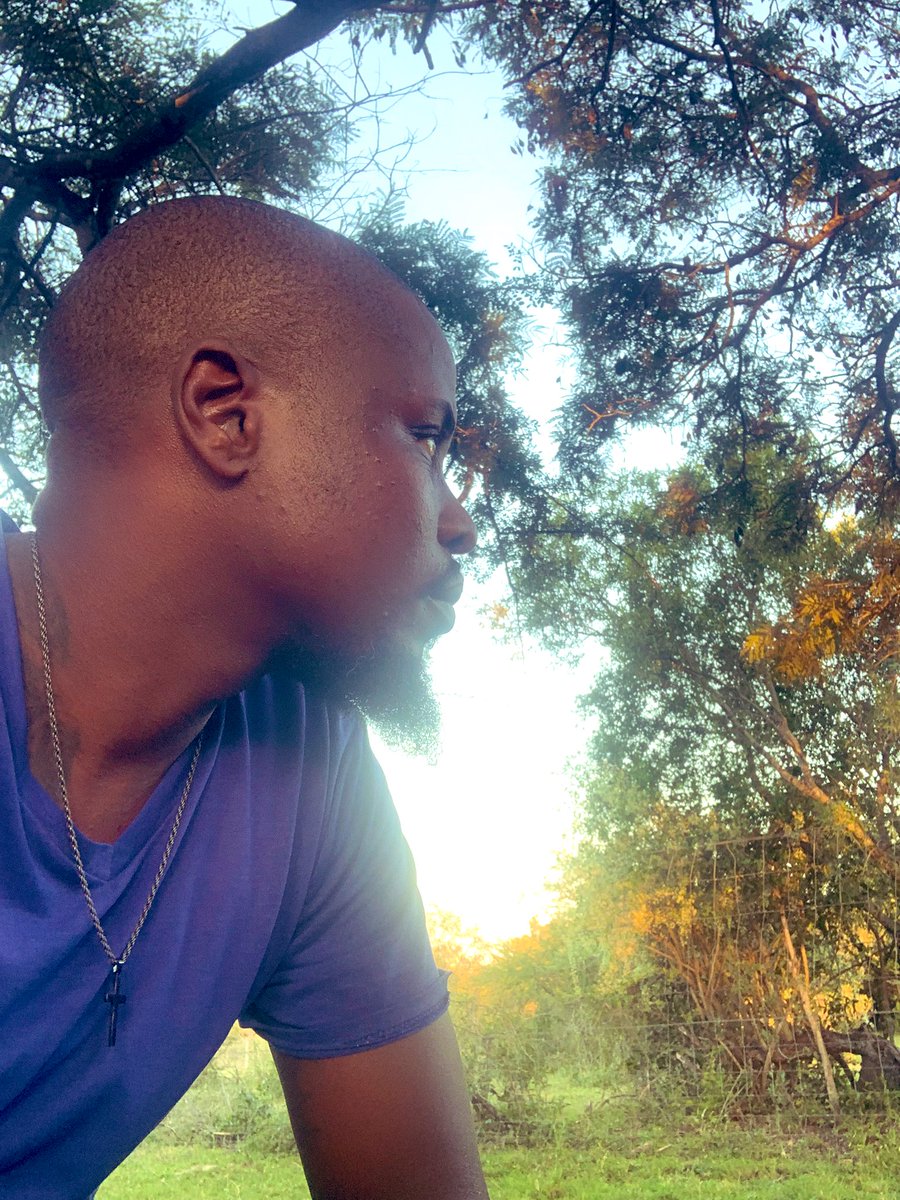 lind_dj's tweet photo. Out in the bush https://t.co/nJoPYDh1D6