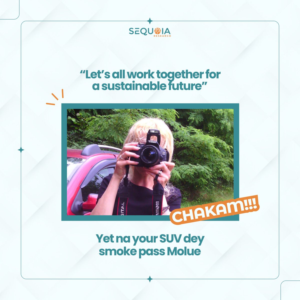 Sequoia Research tweet media