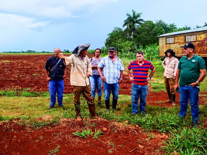 "¡Muchas felicidades en este día a los campesinos cubanos! Contamos con ustedes para fortalecer el trabajo en el sector agrícola y elevar la producción de alimentos en nuestro país". <a href="/mariofsabines/">Mario Sabines Lorenzo</a> <a href="/MMarreroCruz/">Manuel Marrero Cruz</a>
#MatancerosEnVictoria #Matanzas #GobMtz