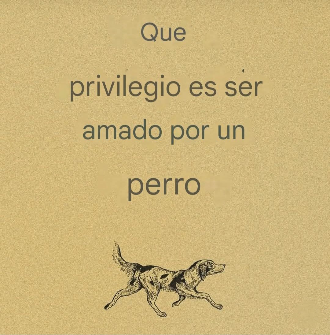 Sabueson (@sabueson) on Twitter photo 