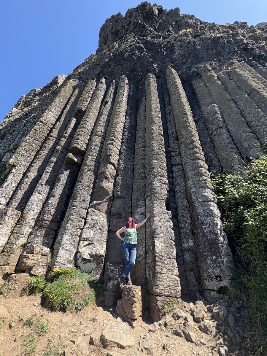 Sandra Flores tweet media