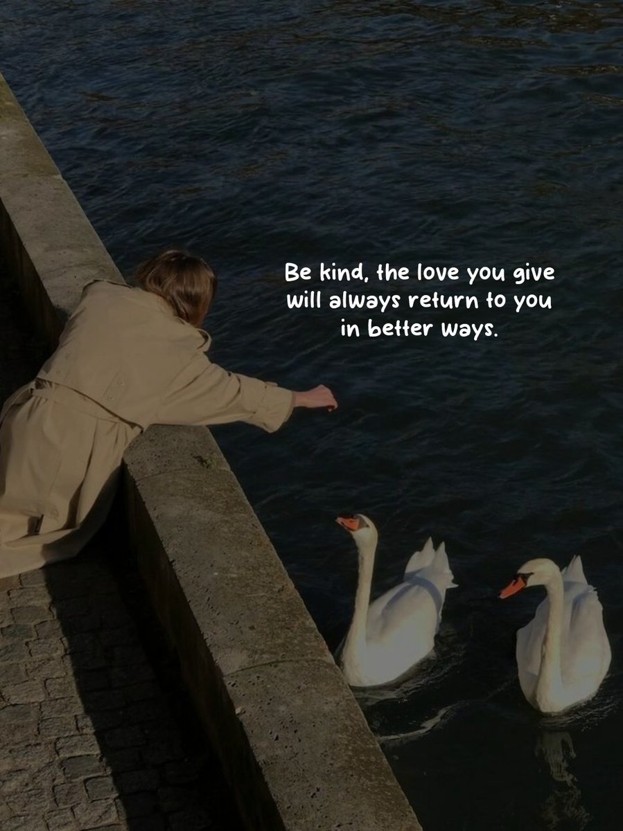 FreakyTheory's tweet image. Be kind