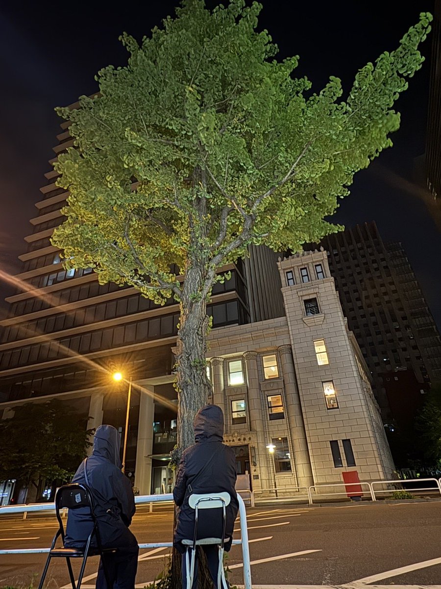 神田警察通りのイチョウの街路樹は
千代田区のテロまがいの伐採工事で
1本だけになってしまった！

イチョウを守る地元住民の見守りは
既に900日を超えている
今夜も1本を守るのだ
#神田警察通りの街路樹伐採に反対