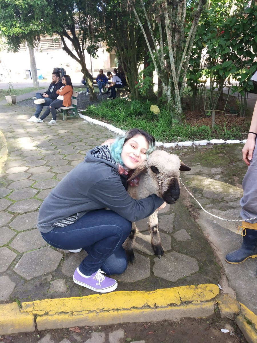 bebeakatsu's tweet photo. 2019, apenas sonhando em estar onde estou agora em 2025 🩷🩺🐾

é o mesmo ovelho nas duas fotos! o antonio 🐑 https://t.co/XB1TodEpqx