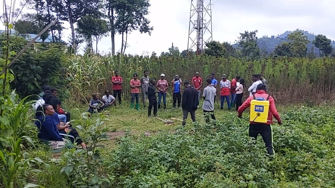 AgriPeakClub's tweet photo. As announced previous day, today #RCSSA Community wrapped up it's farm activities of academic year 2024-2025!

Attendees were provided knowledge about weeding &amp; pesticides application! It was an interactive activity &amp; enjoyable one!
We #Research_Empower_Impact crop production! https://t.co/mupdY8wMQR