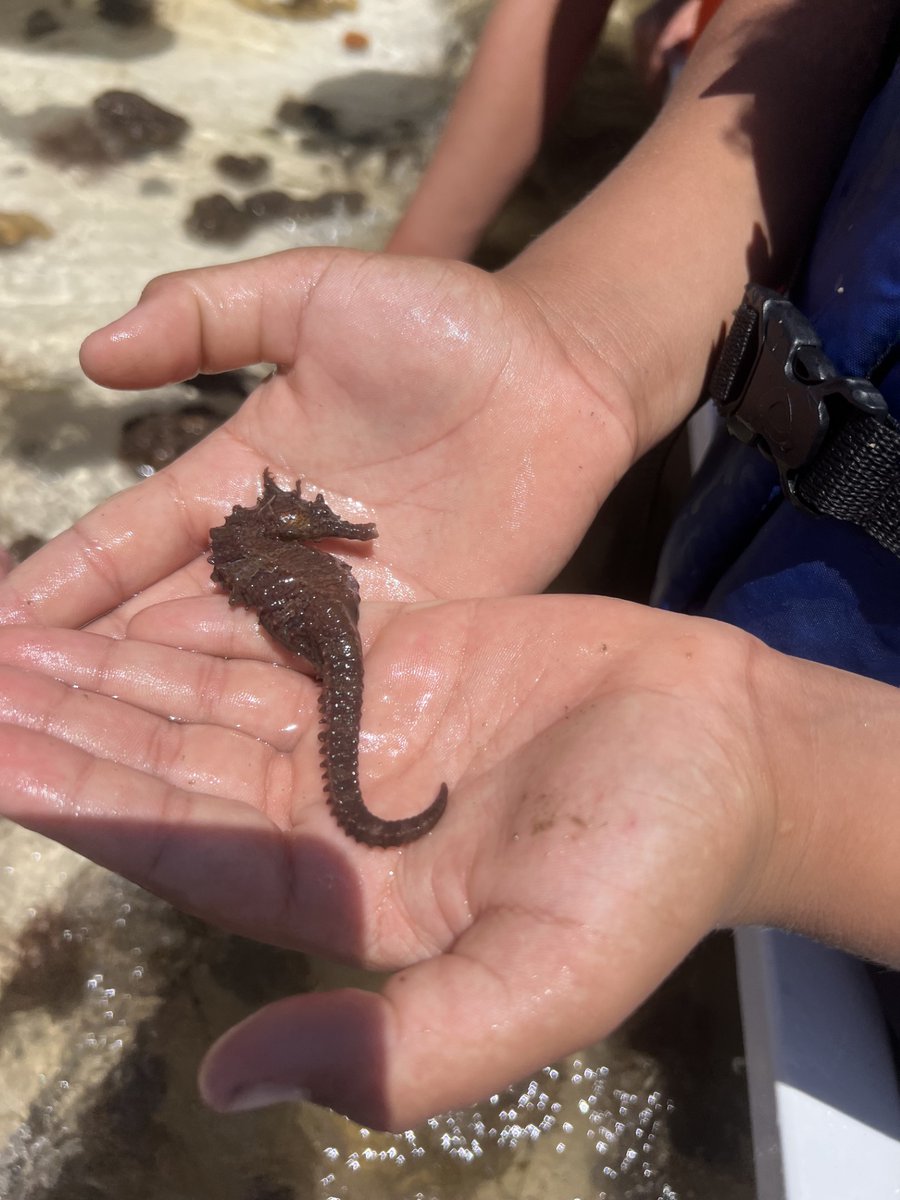 FSUMarineLab's tweet photo. Had a great time showing some students from Franklin County School around the lab last Thursday! Even had the opportunity for a boat tour, where they witnessed some beautiful marine life! 🐚🐟 
#LabTour #HandsOnLearning #FSUCML https://t.co/WLTVaREb8E