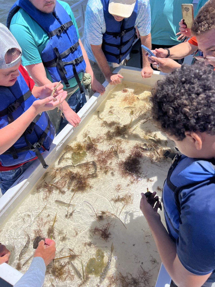 FSUMarineLab's tweet photo. Had a great time showing some students from Franklin County School around the lab last Thursday! Even had the opportunity for a boat tour, where they witnessed some beautiful marine life! 🐚🐟 
#LabTour #HandsOnLearning #FSUCML https://t.co/WLTVaREb8E