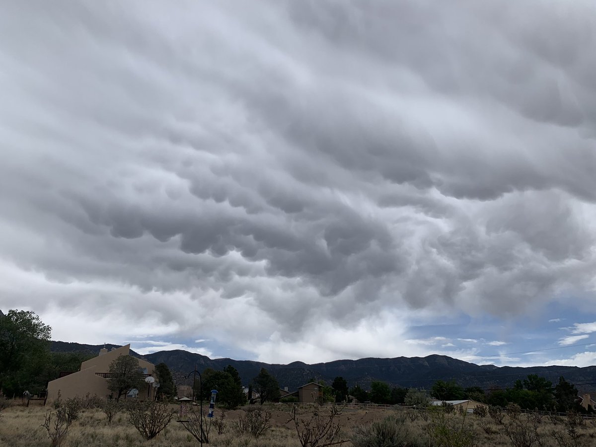 chris5005's tweet image. Spraying us and cranking up the frequencies in Albuquerque 😞this was a clear blue sky ruined! Stop this now! We don’t consent.
#theclearskiesmovement #geoengineering @SecDef @SecKennedy @NOAA