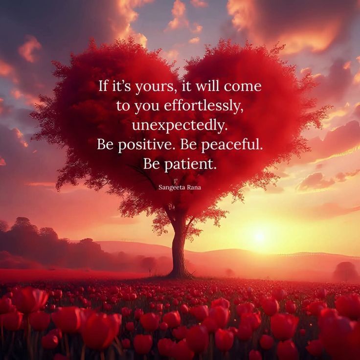 POSITIVITY (@positivitysaid) on Twitter photo 