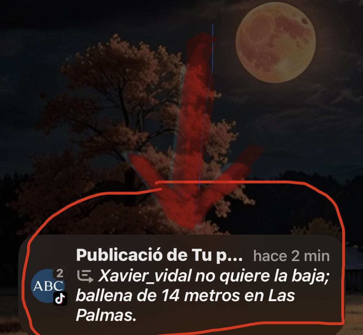 Confesso que de vegades em pertorben les notificacions que fa l'apple intelligence...