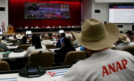 Lacteos_Stgo_Cu's tweet photo. Con gratitud y respeto, honramos a quienes con sus manos siembran vida, alimentan al país y cuidan la tierra.

Gracias por su trabajo incansable.

¡Feliz Día del Campesino Cubano!
#SantiagodeCuba
@grupo_agroalim
@minalcuba https://t.co/xHHHbaSQoe