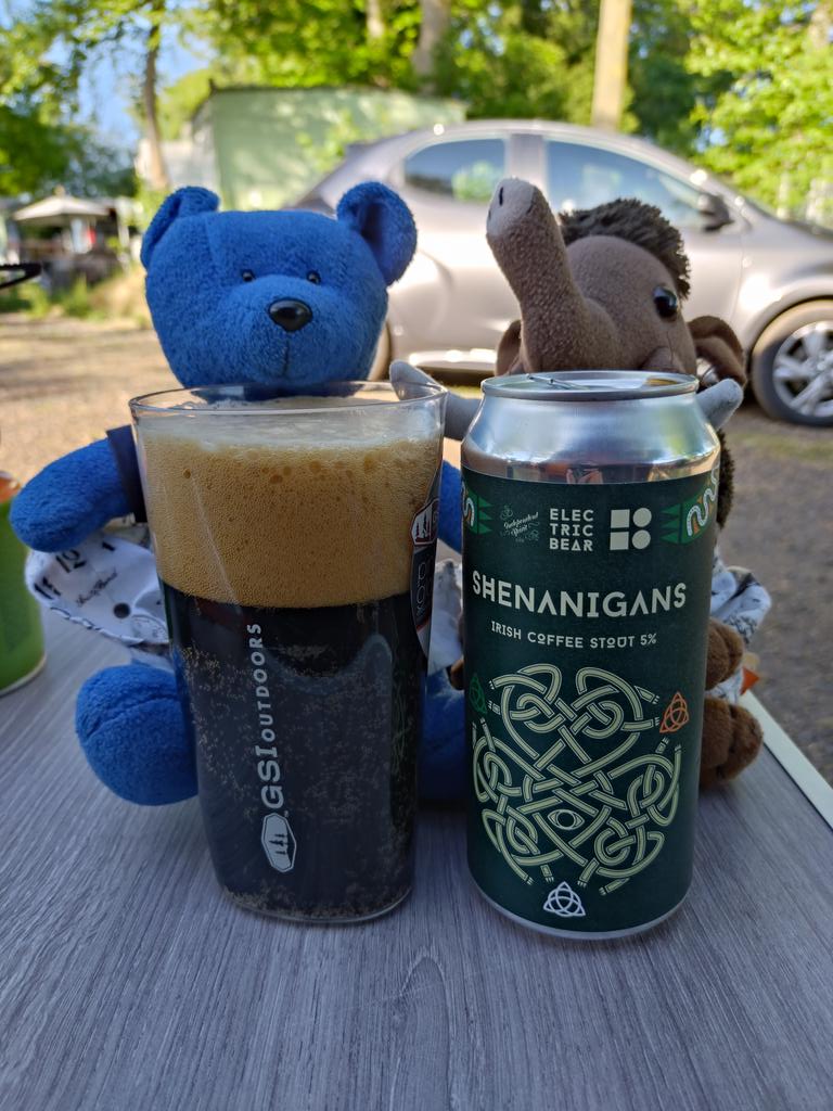 We found one of the best ever beers for bears! Not only is the brewery called Electric Bear 🐻,the beer is called Shenanigans!!! #smallbearsneedbeer