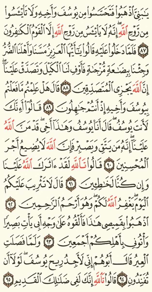 school__qran's tweet photo. بسم الله نبدا تلاوة 

#القرآن طبيب القلوب وغذاء الارواح

 اجعل من وقتك24ساعه وقت للاخره 

فالحياه اشبه بالحلم وحين ياتينا الموت نستيقظ من،هذا الحلم الئ الحقيقه
#ورد_اليوم_
من #الجزء_13
#سورة_يوسف
من ص245الى248
شارك الاجر #رتويت https://t.co/AcssGkXXD6