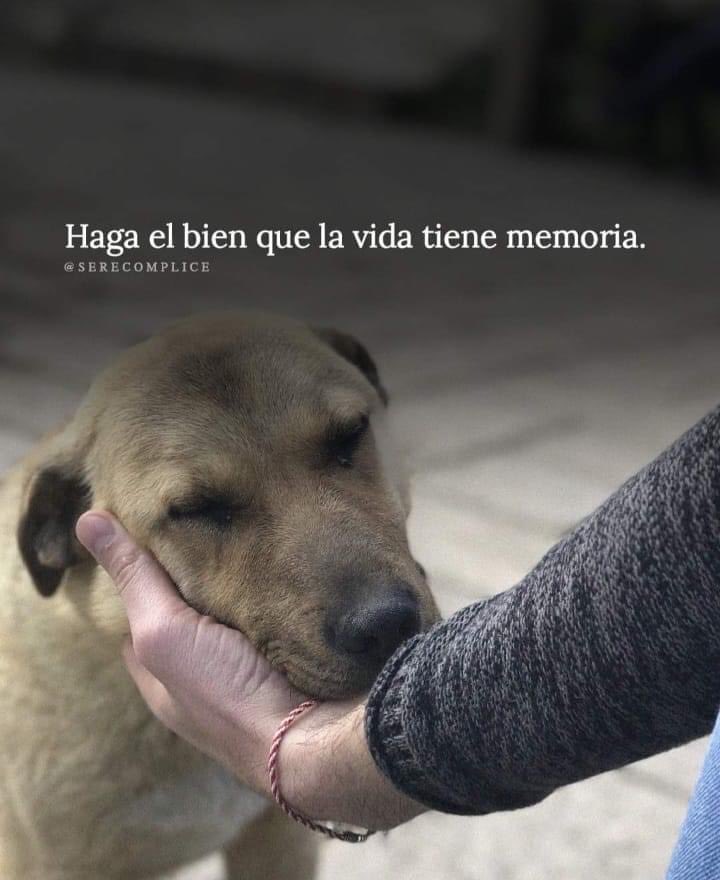 Mayú Guillén 🇲🇽🇺🇦 (@mayumiguillen) on Twitter photo 