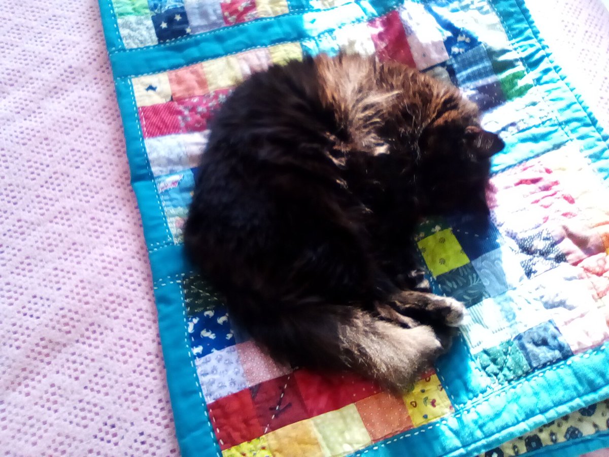 laura watts-fleming in memory of Gabi , Gem🌈 tweet media