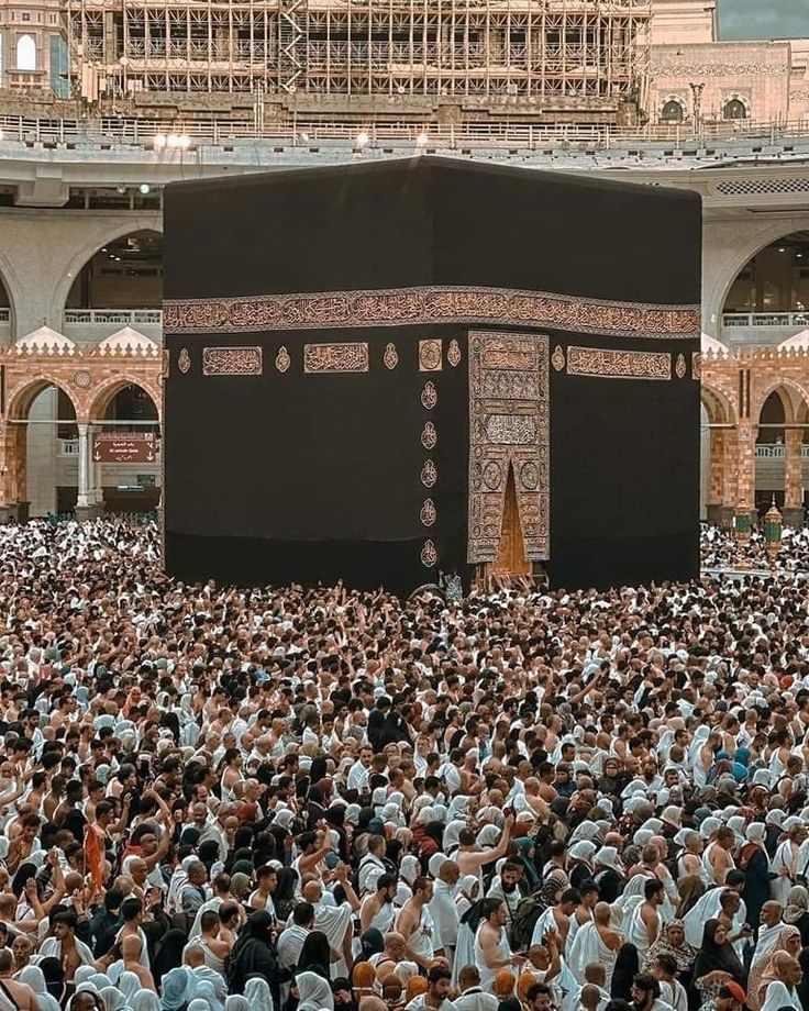 Ya Allah, answer my mother's duas.

Good Night