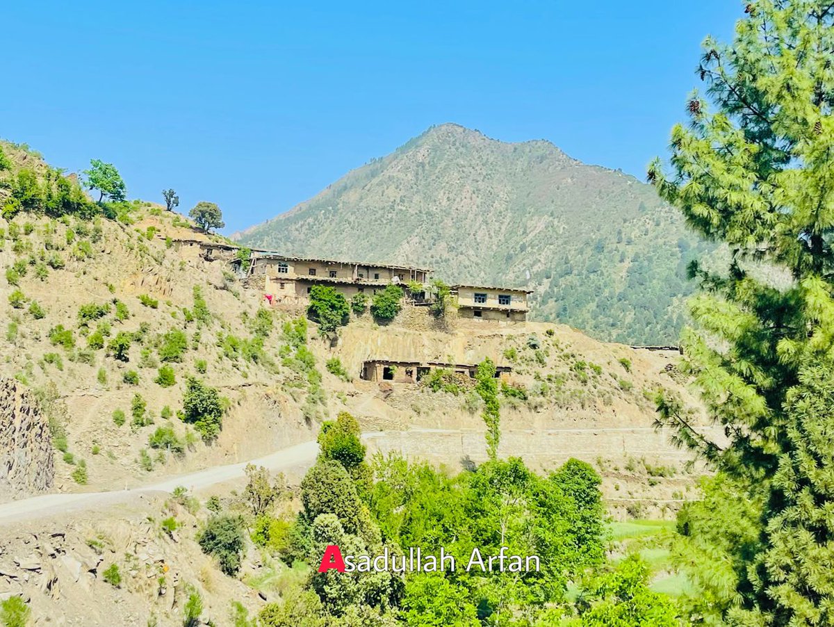 خوست د منګلو جنتي سیمه!🌳🇦🇫
عکاس: Asadullah Arfan/اسدالله عرفان